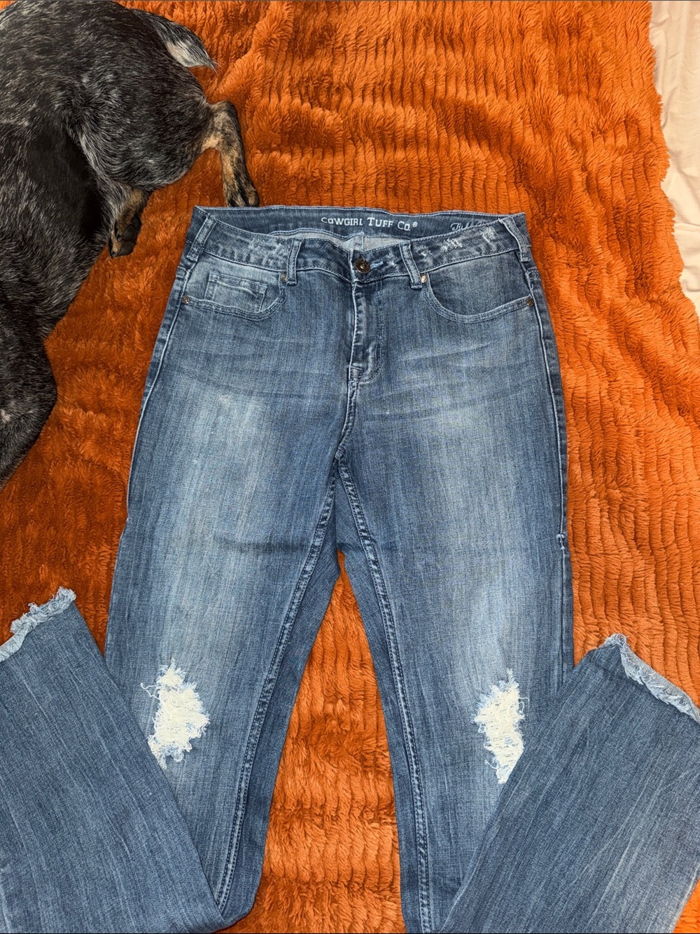 Women’s Cowgirl Tuff Jeans: W30 L35